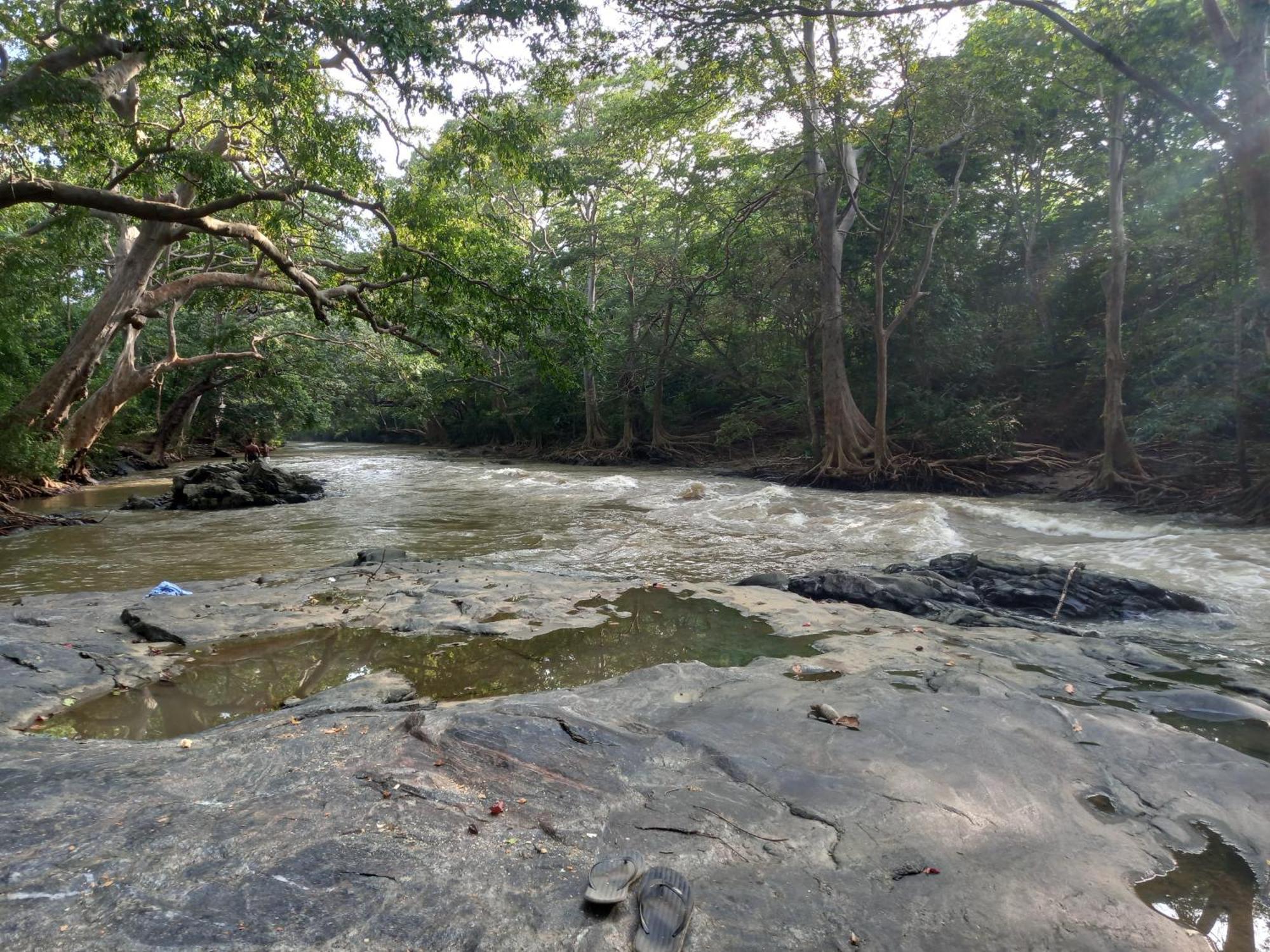 Forest Thanamalwila Hotel Tanamalwila Exterior photo