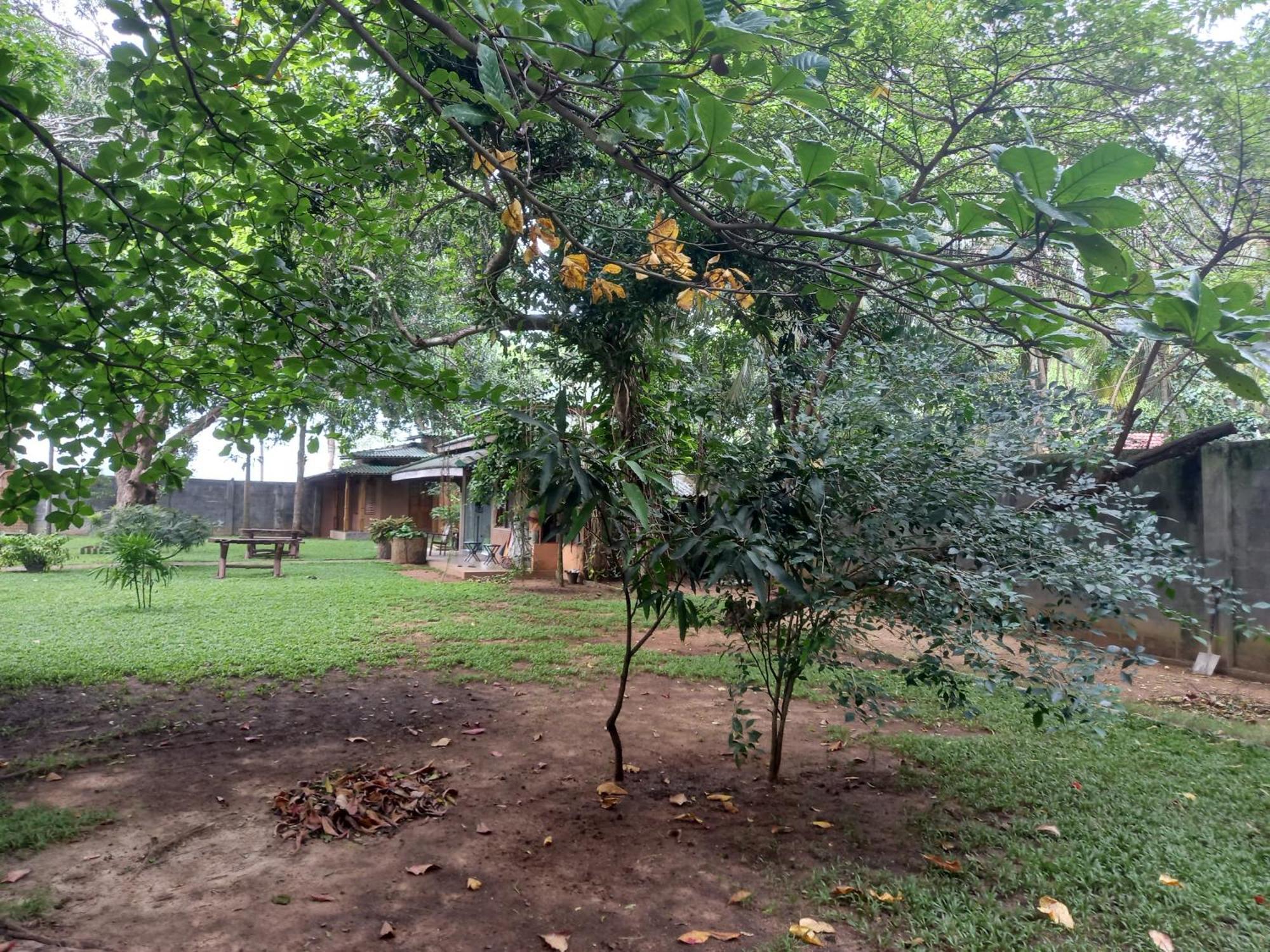 Forest Thanamalwila Hotel Tanamalwila Exterior photo